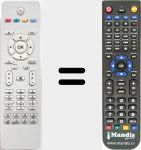 Replacement remote control for RC1205 (30062472)