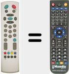 Replacement remote control for 2100