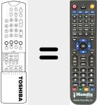 Replacement remote control for CT-9921 (23306234)