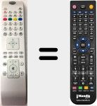 Télécommande pour remplacer RC4800 (30077447)