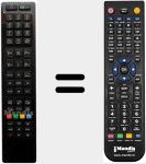 Télécommande pour remplacer RC4847 (23228546)