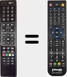 Télécommande pour remplacer RC4846 (23109459)