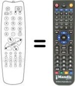 Replacement remote control Protech CTV6392