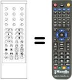 Télécommande équivalente RC1002