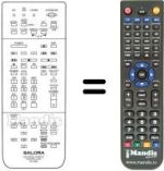 Télécommande équivalente RC9900