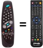 Télécommande équivalente RC1010