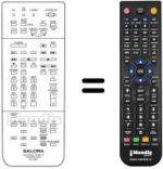 Télécommande équivalente RC9900