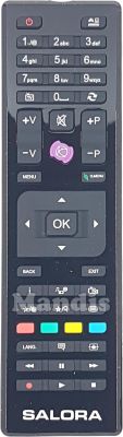 Original remote control SALORA RC4875 (23266443)