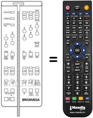Replacement remote control 660.01.0192