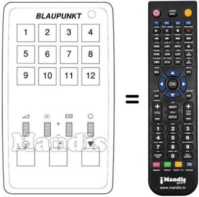Replacement remote control D 12