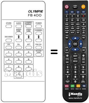 Replacement remote control P 310