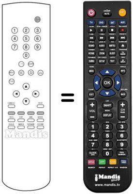 Télécommande équivalente REMCON1176 Télécommande équivalente REMCON1176