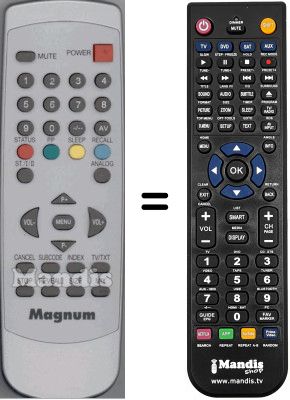 Replacement remote control WHV3974